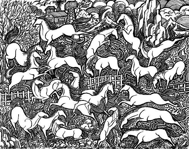 663x523 The World's Best Photos By Anikartick ( T.subbulapuram Vasu