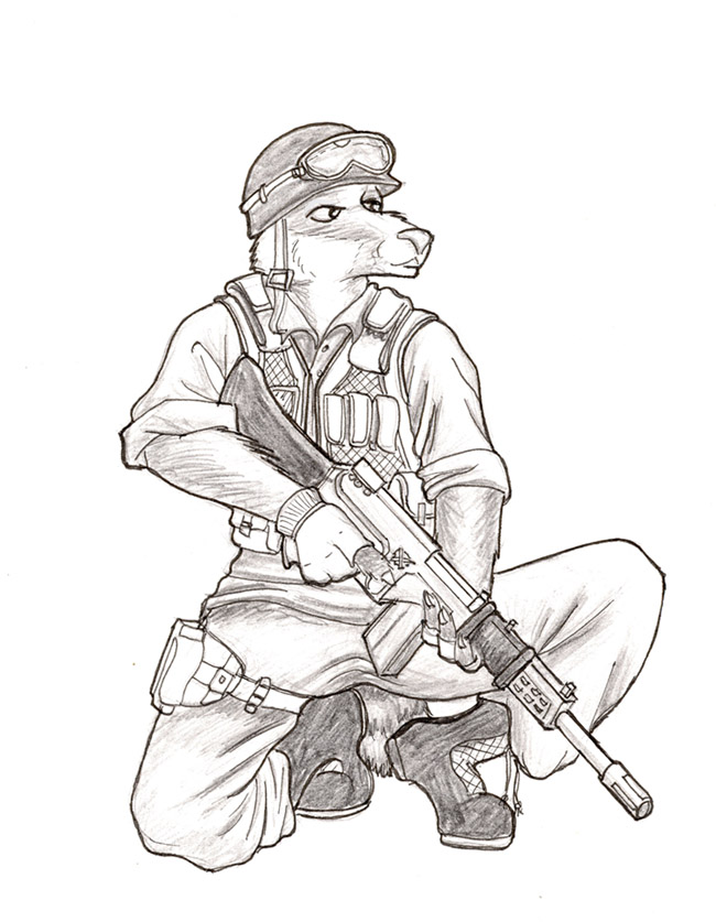 650x837 Contest Badger Soldier By Steinwill