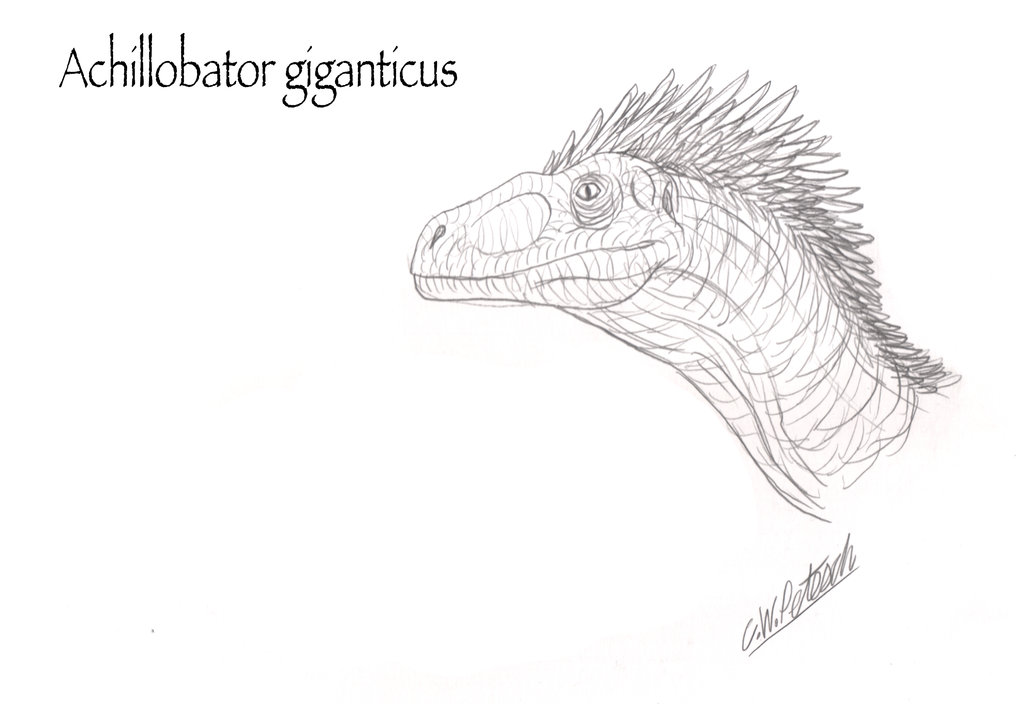 1024x704 The Unknown Continent