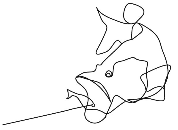 618x453 Continuous Line Drawings