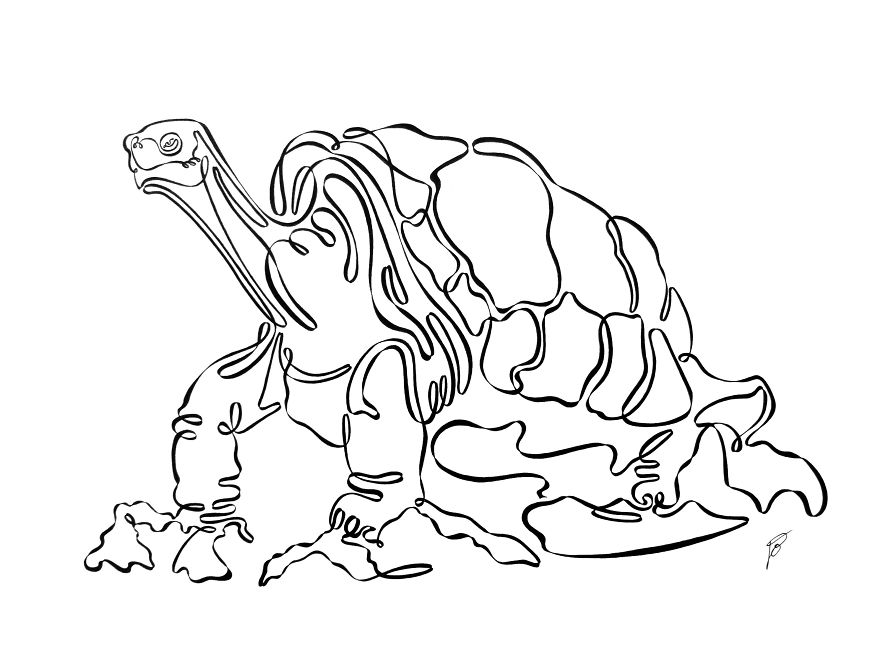 880x660 Continuous Line Drawing