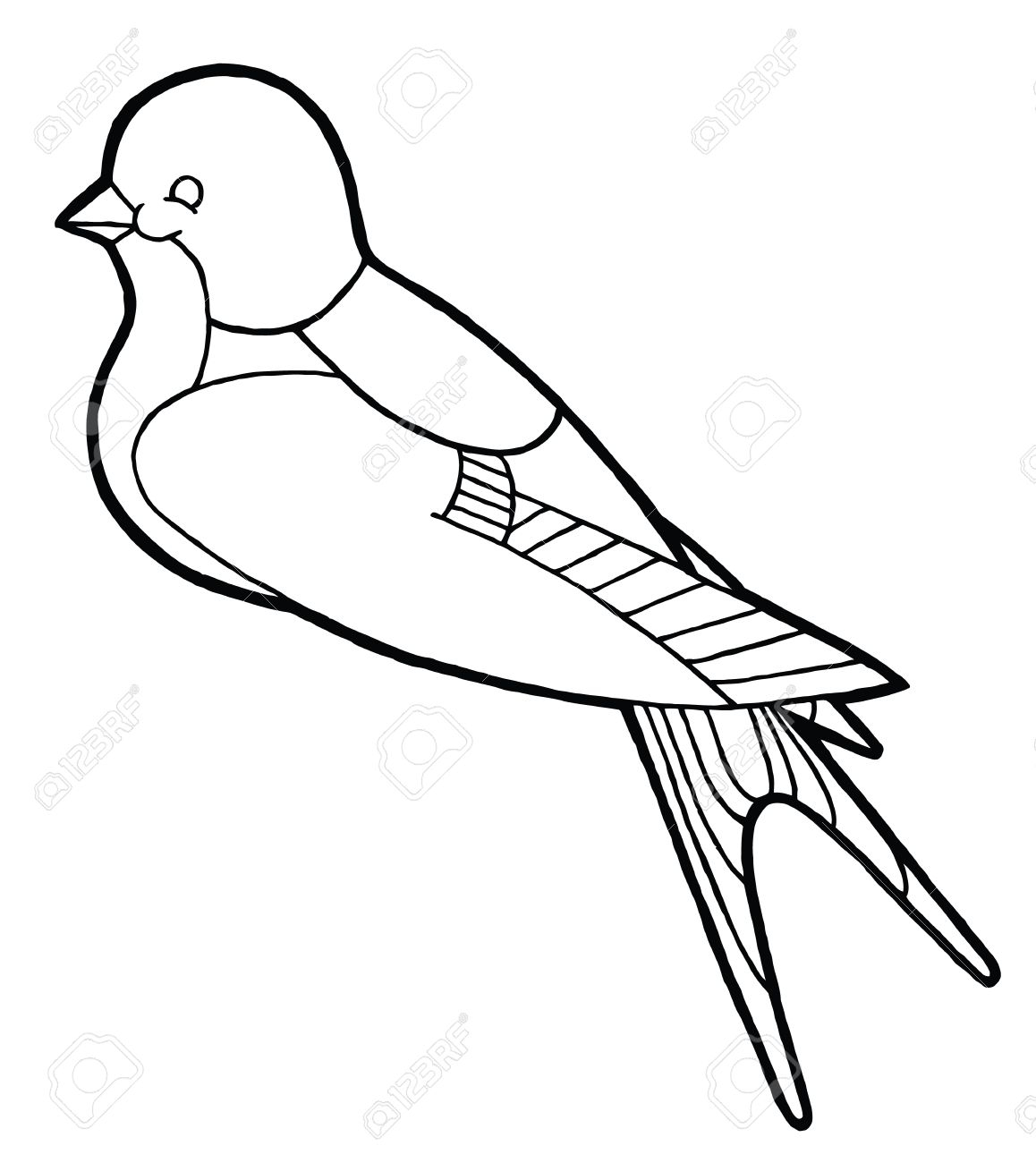 1158x1300 Contour Hand Drawing Contour Hand Drawing Swallow