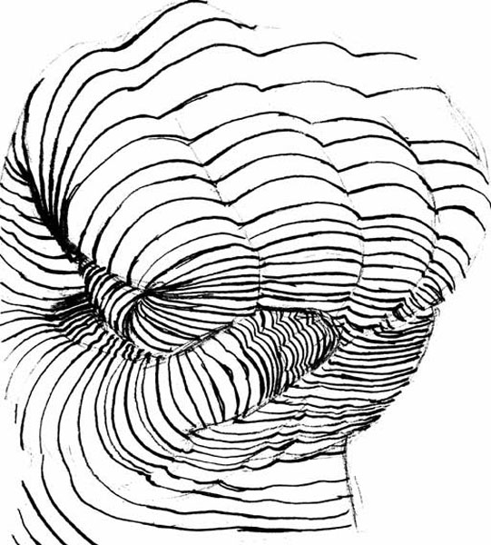 541x600 Pagescrosscontour Hand.html