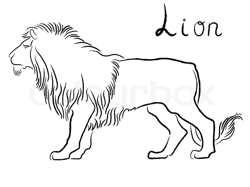 800x600 Black Graceful Lion Contour Isolated Over White. Hand Drawing