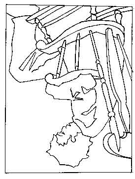 274x363 Drawing Basics Patrick Fanning's Artworks