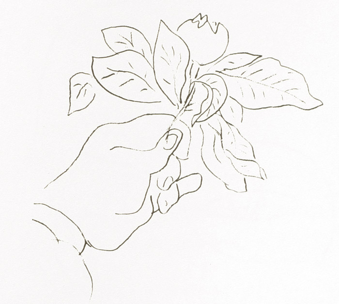 700x627 Nc Aampt Art 100 Fall 2013 Contour Line