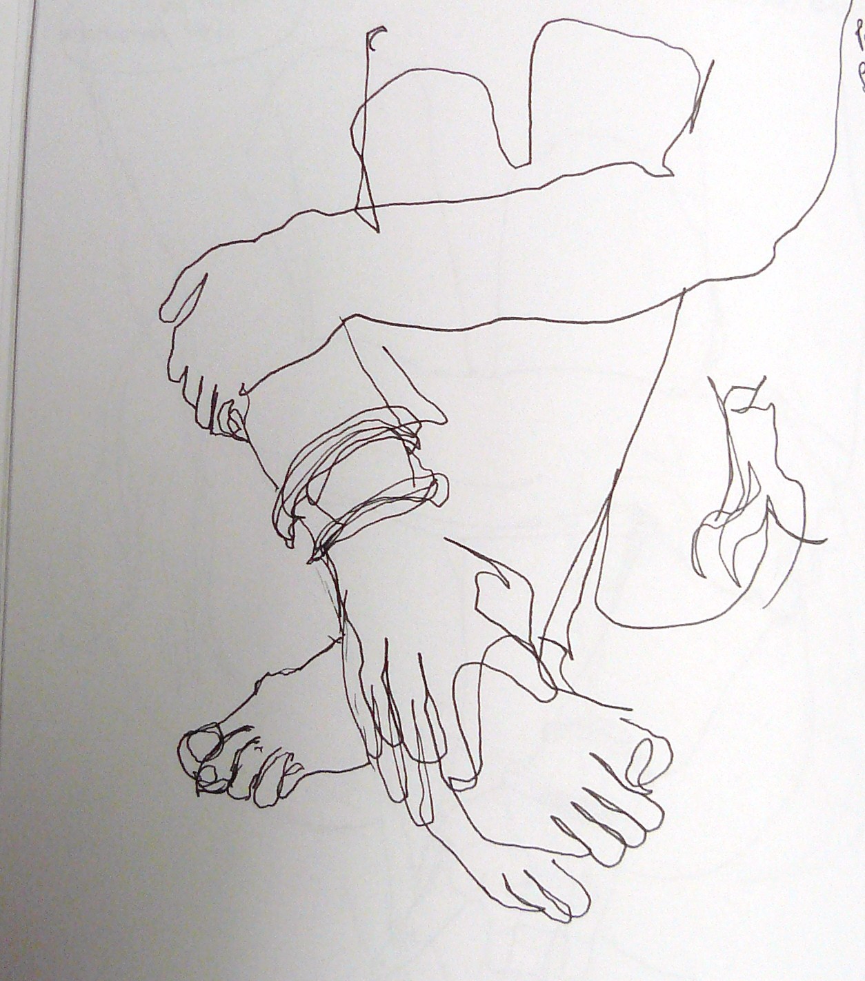 1254x1423 Blind Contour Line Drawing Sharon Draws