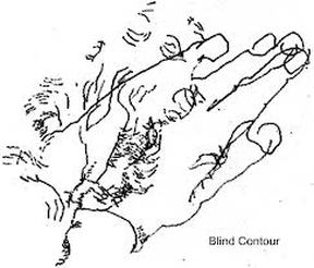 288x246 Contour Drawings