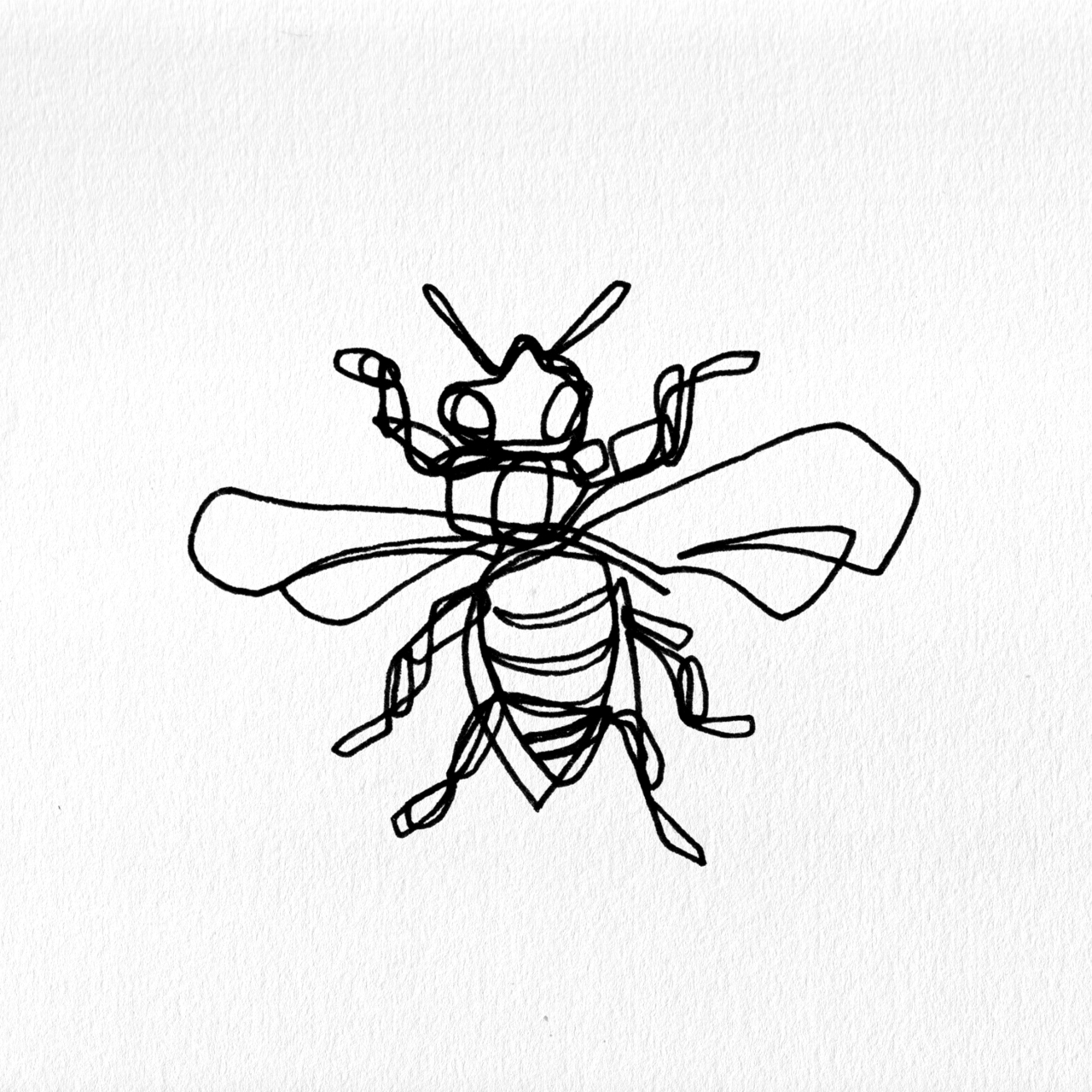 2400x2400 Contour Line Mr. Knight Art