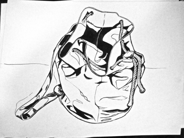 643x483 Lessons 1amp2 Contour Drawing Ms. Fetsch's Teacher's Blog