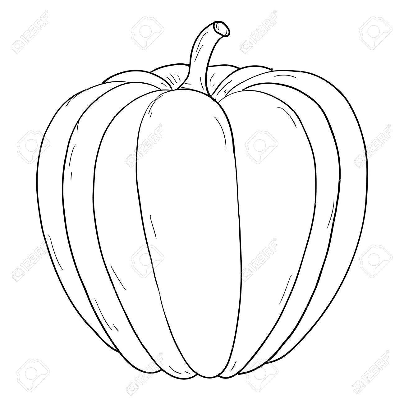 1300x1300 Pumpkin. Hand Drawing Sketch, Contour Outline Royalty Free