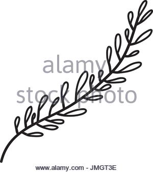 300x339 Sketch Contour Of Hand Drawing Leaf Oval Shape With Several Stock