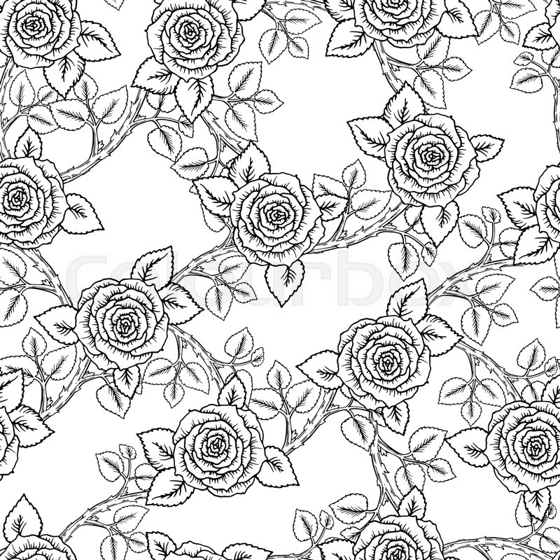 800x800 Beautiful Black And White Seamless Pattern Roses With Outlines
