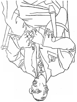 250x332 Contour Line