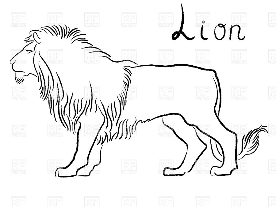900x675 Hand Drawn Lion Contour Royalty Free Vector Clip Art Image