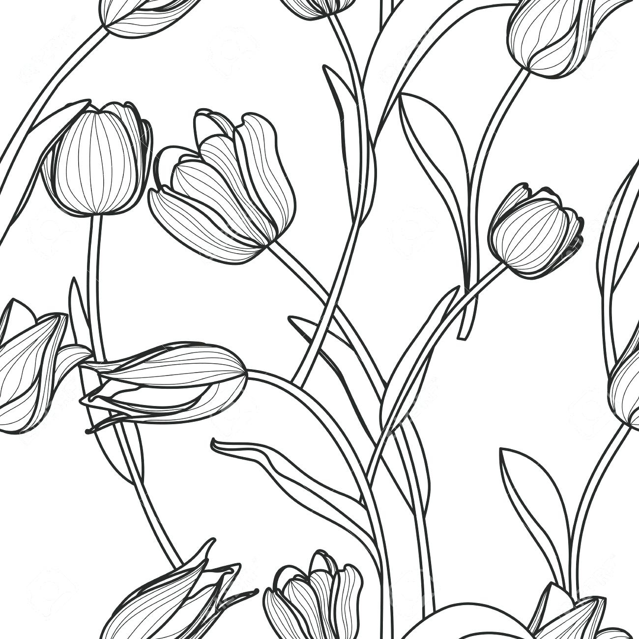 1300x1300 Rose Flower Outline Drawing Contour Stock Vector Lotus Clip Art