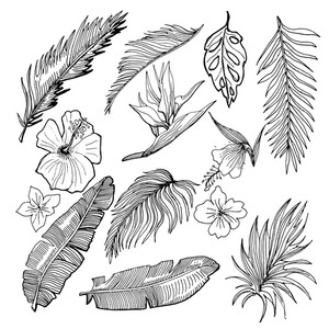 300x300 Storyblocks Portfolio Trishamcmillan