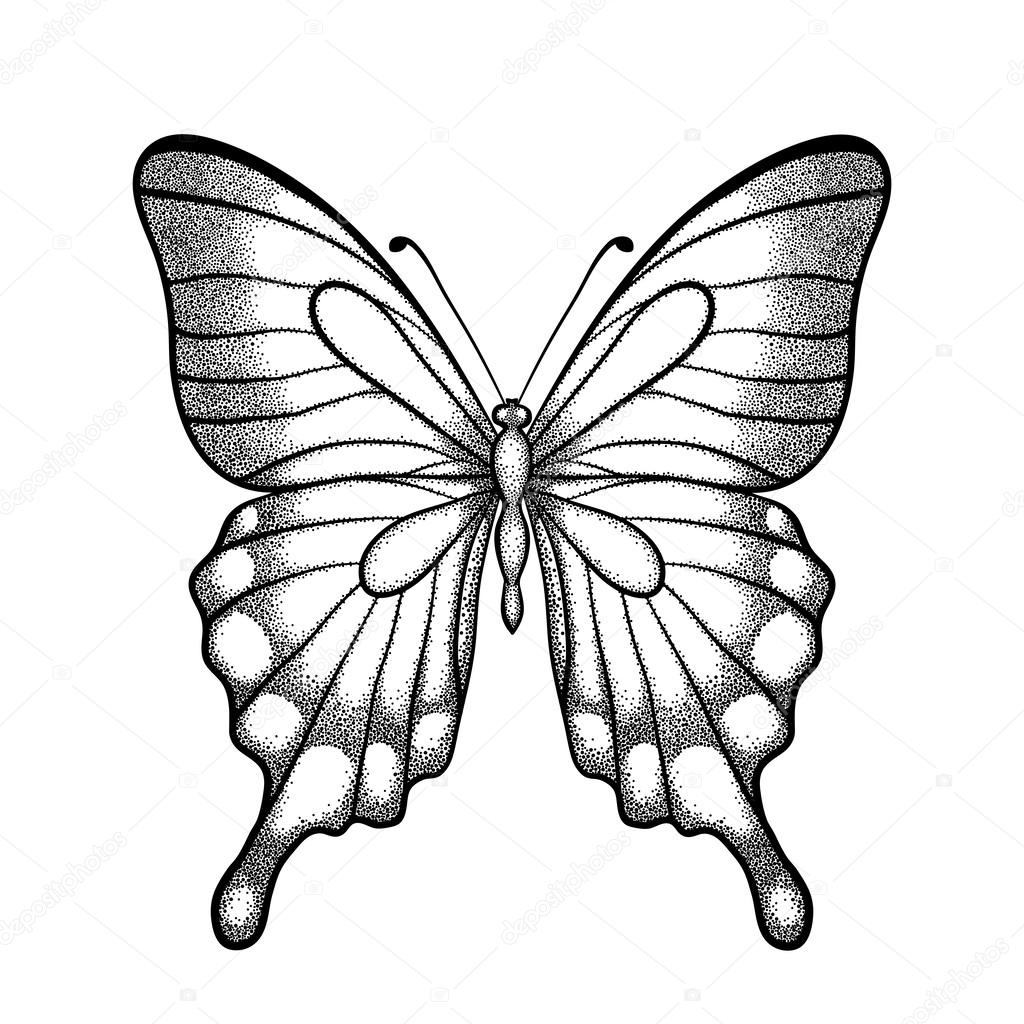 1024x1024 Graphic Black White Butterfly. Hand Drawn Contour Lines