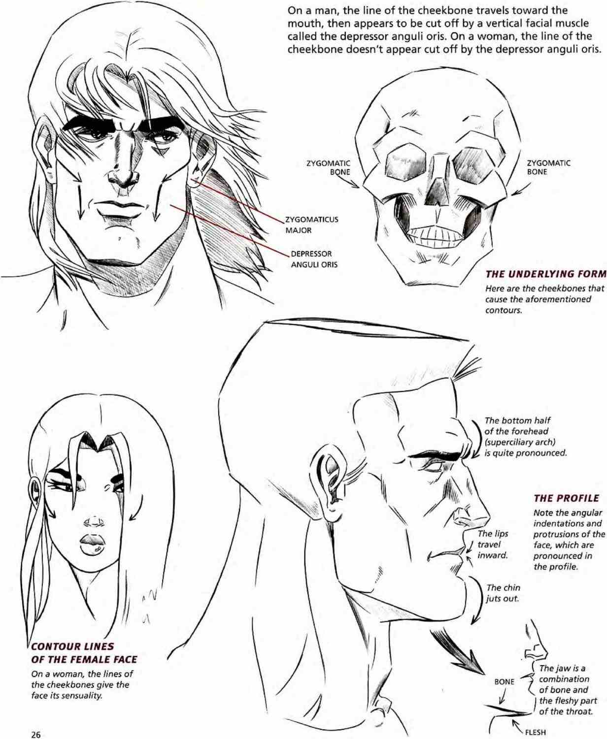 1232x1501 Beautiful Girl Stock Vector Contour Line Face Hand Drawn Beautiful