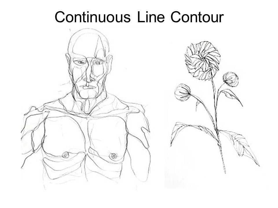 960x720 Contour Drawing Blind Contour Drawing Without