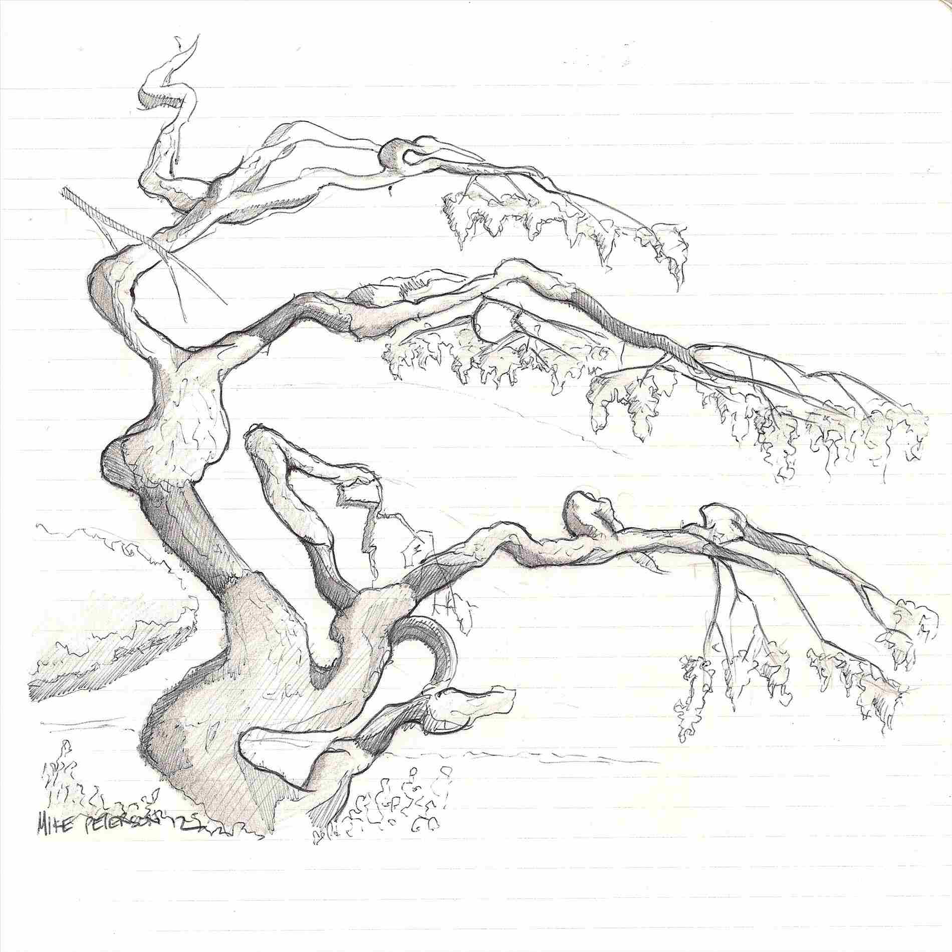 1900x1900 Serving Hood River Expert Japanese Garden Drawing Landscape