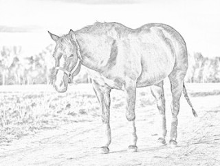 320x241 Convert Jpg To Sketch