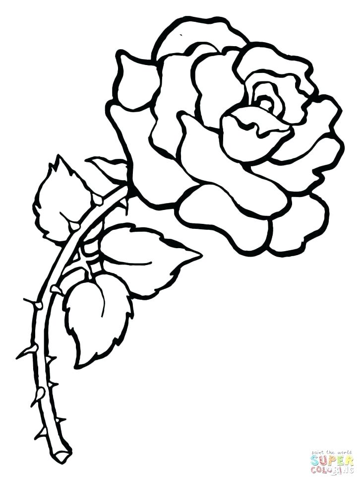 728x971 Convert Picture To Coloring Page Convert Best Photo Gallery