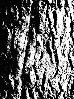 240x320 The Best Convert Photo Painting Ideas On How