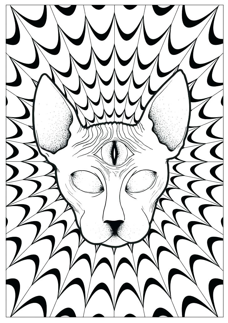 728x1030 Convert Picture To Coloring Page
