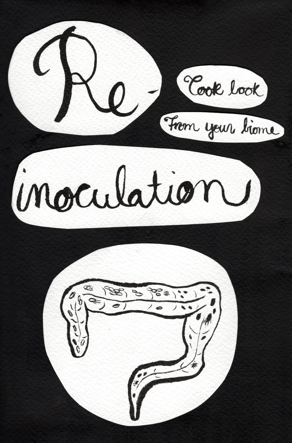 1000x1517 Reiconulationcookbook.jpg