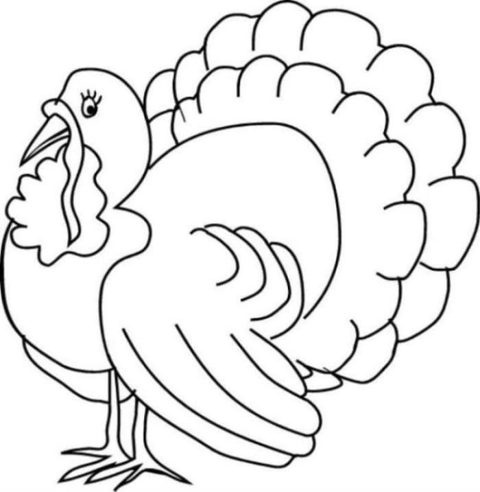 700x717 Turkey Color Pages
