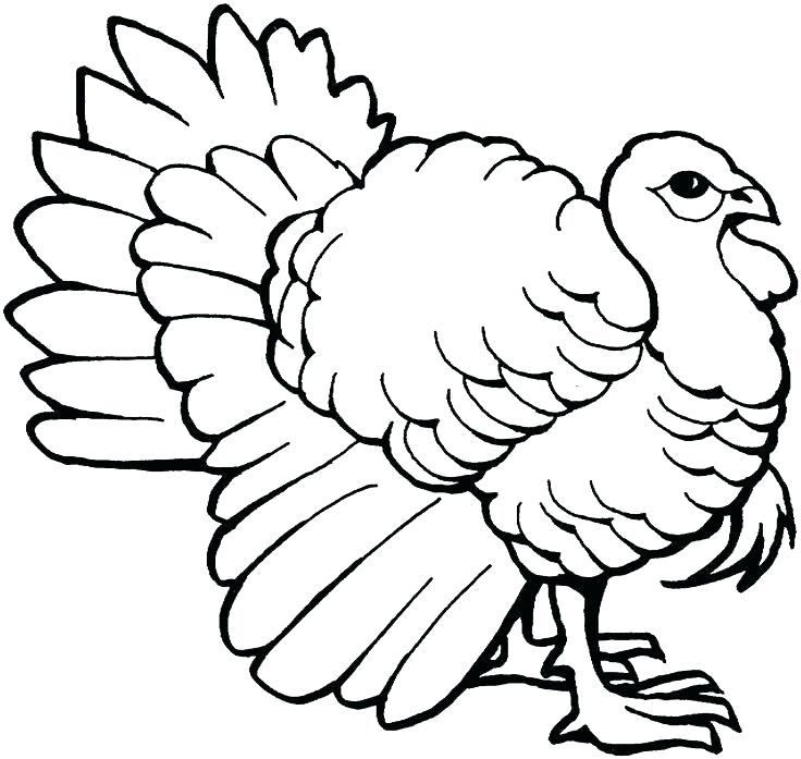736x697 Coloring Page Of A Turkey Coloring Page Turkey Coloring Pages