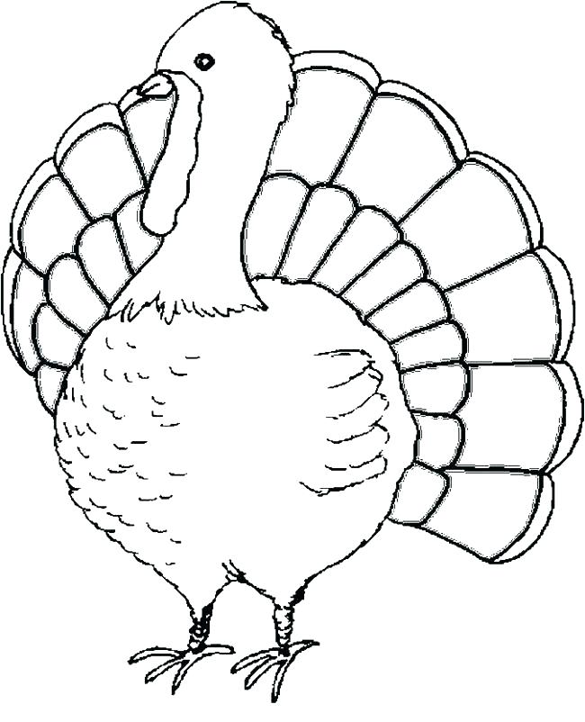 650x802 Coloring Page Turkey Pictures Turkey Coloring Pages In Free