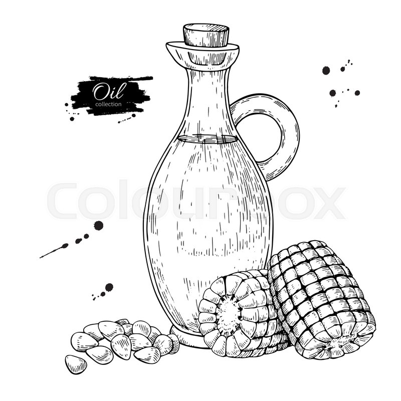 800x800 Bottle Of Corn Cooking Oil. Vector Hand Drawn Illustration. Glass