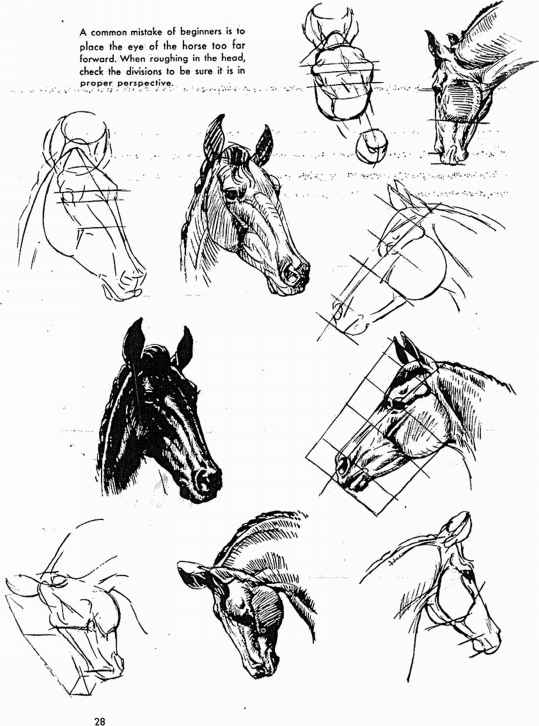 539x726 Brush Technique