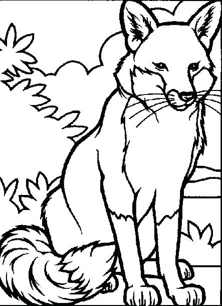 443x609 Cool Animal Coloring Pages Animal Coloring Sheets Detailed Animal