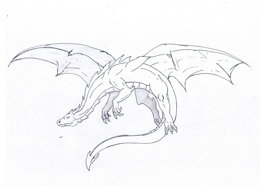 900x654 Flying Dragon Drawing By Katy500