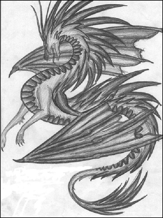 556x743 My Epic Dragon Drawing By Skylinecosplayers