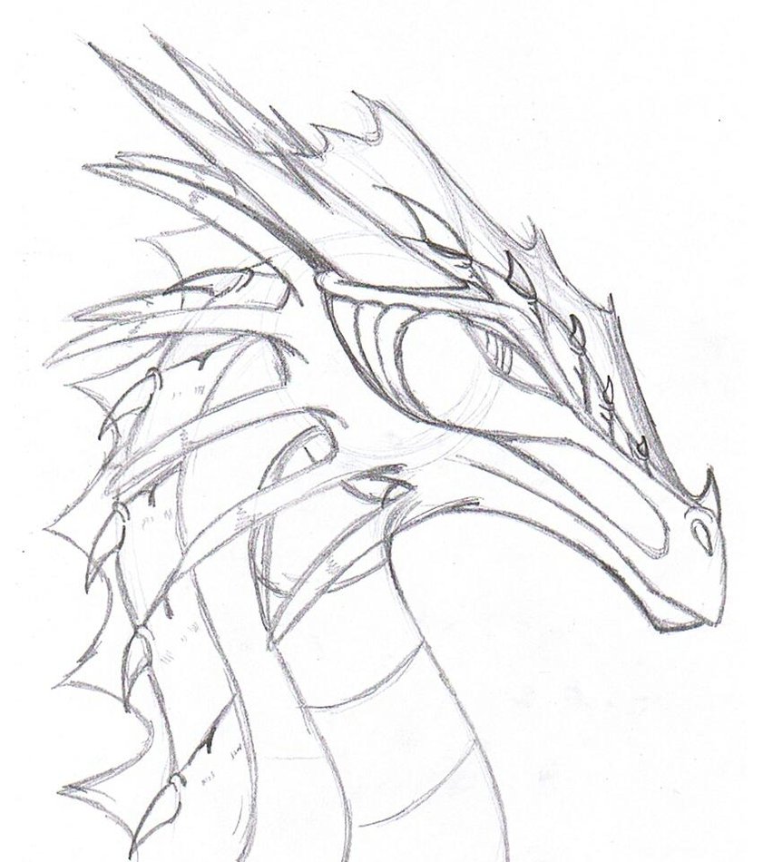 Top 100+ Images How To Draw Dragon Pictures Superb