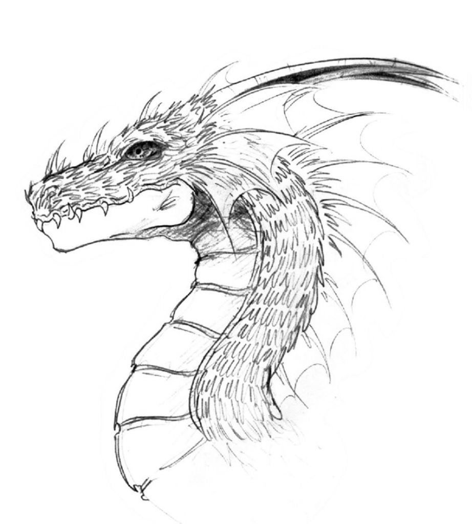 922x1024 Cool Dragon Drawings Cool Drawings Of Dragons Head 3 Decoration