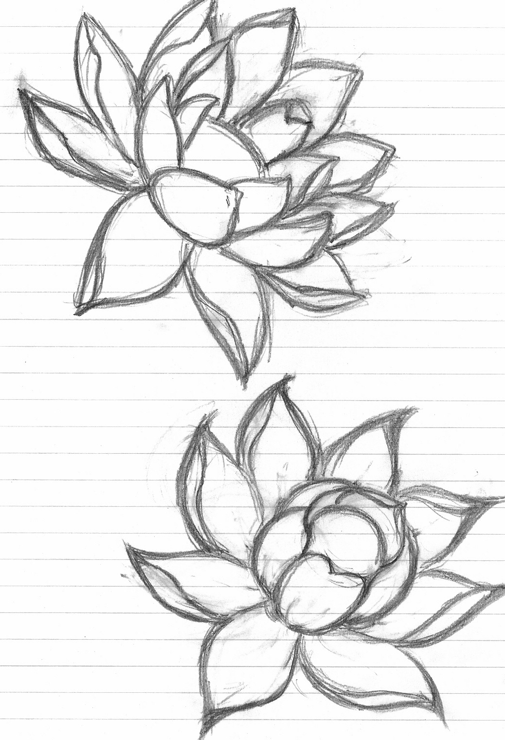 1038x1520 Draw A Lotus Flower Mosaic Projects, Lotus And Mosaics