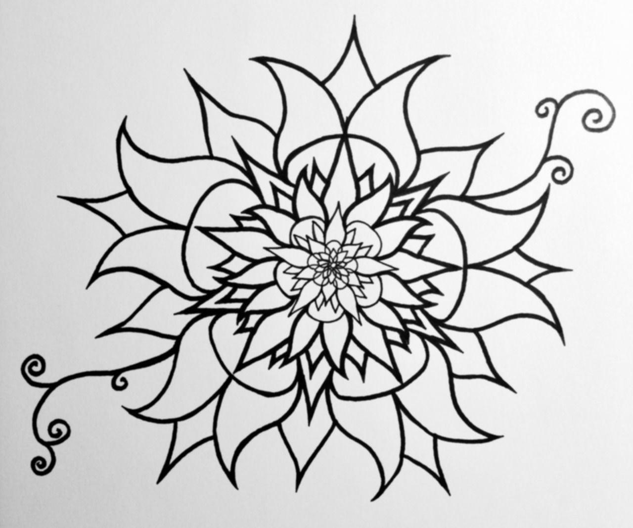 1280x1067 Interior Design Black And White Flower Line Drawings 160517