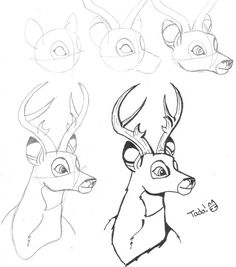 236x267 Cool Easy Drawings For Kids Step By Step