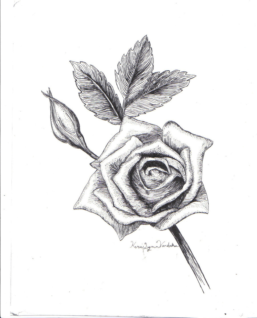 900x1113 Falling Roses By Ladykylin