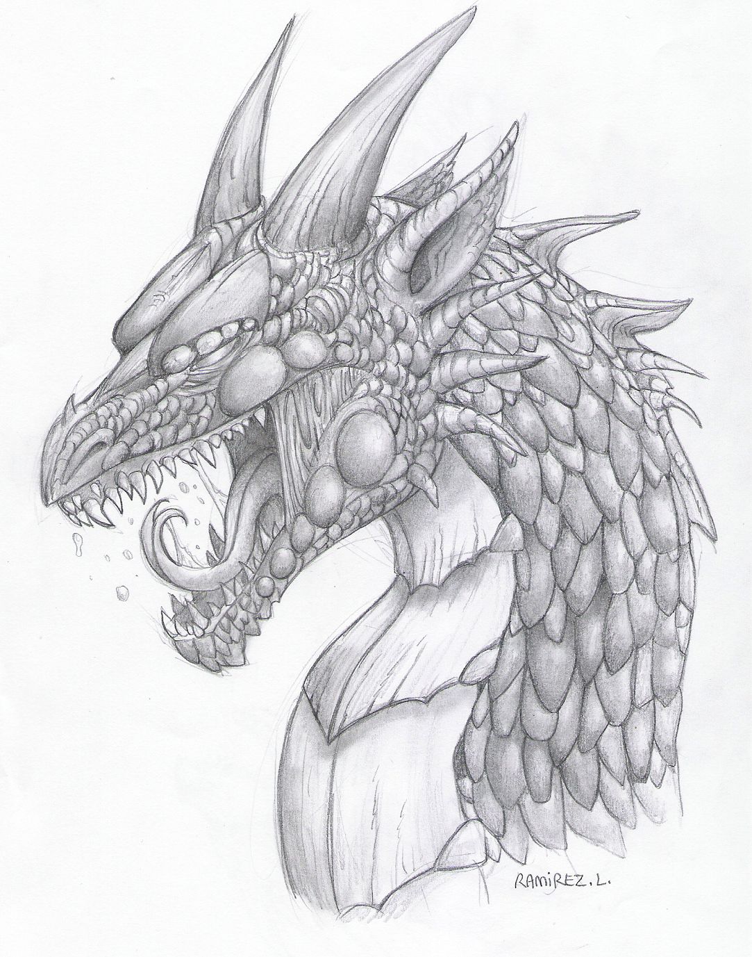 1083x1377 Dragon Sketch By Lauraramirez