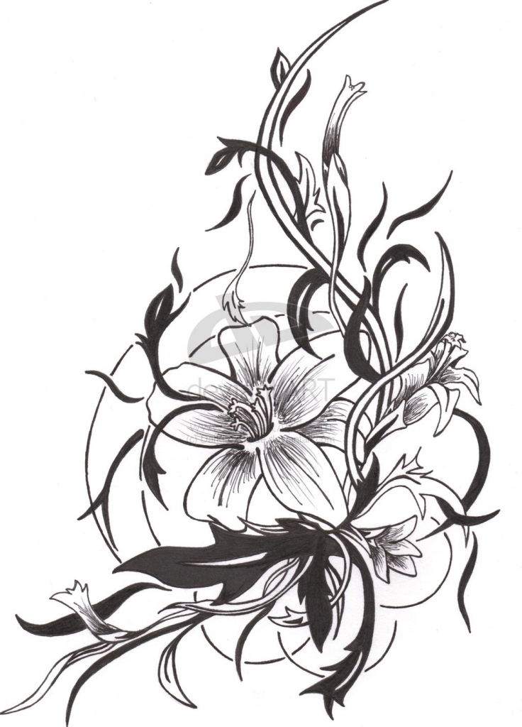 736x1024 Cool Flower Drawings Top Lotus Flower Drawings For Tattoos Images