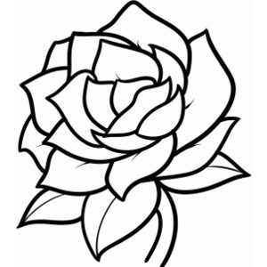 300x300 Cool Flowers To Draw Dromgih.top Drawing Drawings