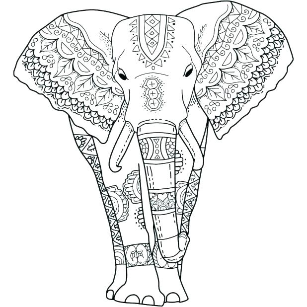 618x618 Best Of Elephant Coloring Page Pictures Modest Elephant Coloring