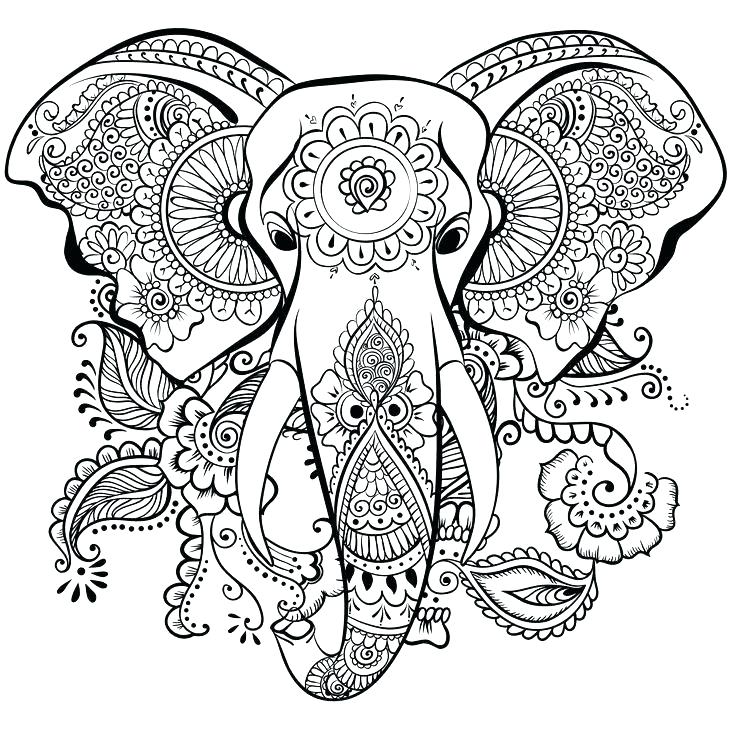 736x737 Coloring Pages Elephants Coloring Pages Of Elephants Elephant