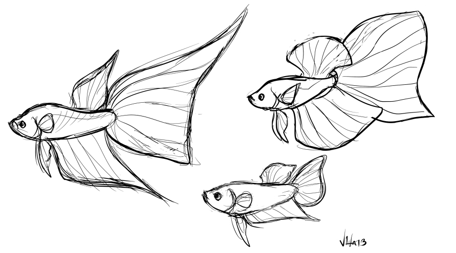 891x495 Sketch Of Imaginary Tail Types!